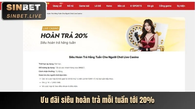 Hoàn trả cược thua và các gói thưởng VIP tại v88 Link